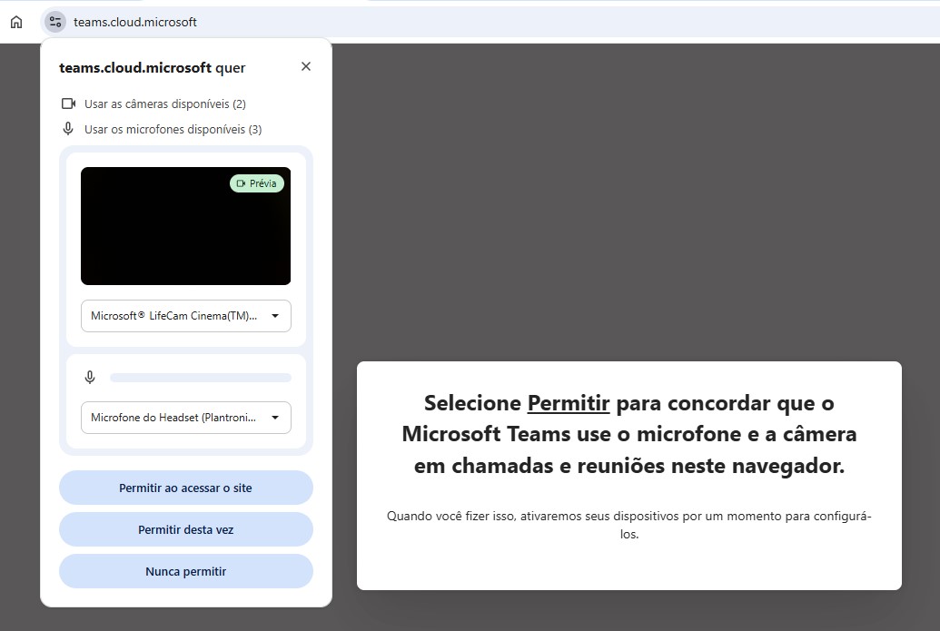 Fig. 7 — Autorização de uso de câmera e microfone solicitada pelo navegador.
